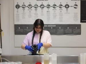 A student developing photographs.